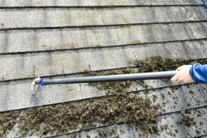 Roof Cleaning Bridgwater