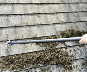 We offer roof cleaning services for both commercial and domestic properties. Our team is highly trained and experienced in using safe and effective cleaning techniques to ensure your roof looks as good as new.