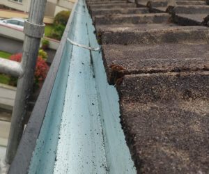 We offer professional gutter cleaning services for both commercial and domestic properties. Our dedicated team is trained and equipped to handle any gutter cleaning job efficiently and effectively.