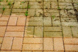 At All Seasons, we offer professional driveway cleaning services for all types of properties. Your driveway is the first thing visitors see, and we understand the importance of maintaining its cleanliness and appearance.